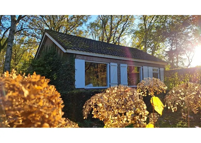 In Near Eindhoven Vessem