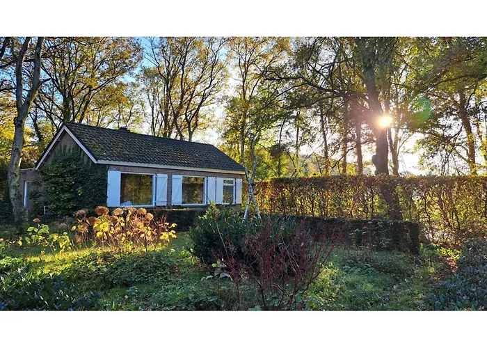 In Near Eindhoven Holiday home *