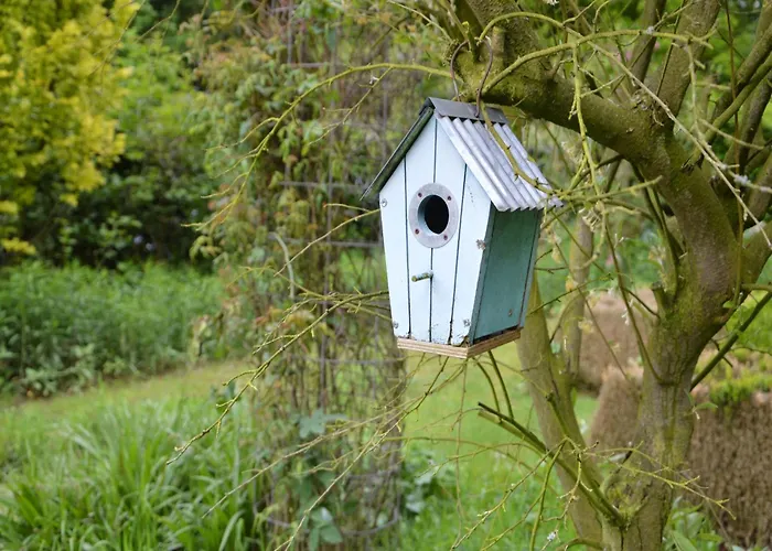 Holiday home In Near Eindhoven