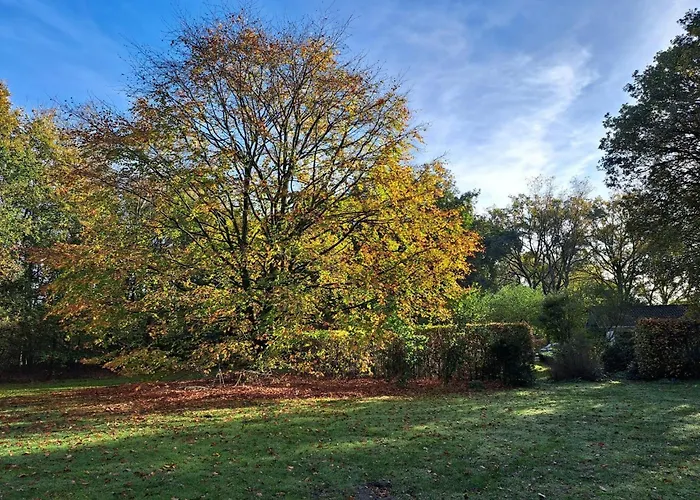 In Near Eindhoven Holiday home *