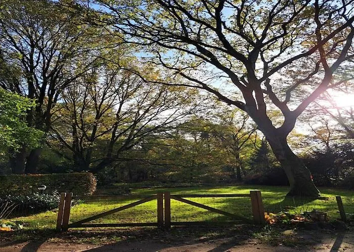 In Near Eindhoven Σπίτι διακοπών Vessem